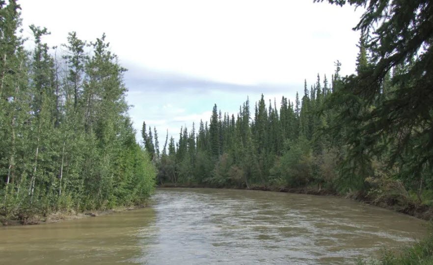 Tok River State Recreation Site, Alaska, USA